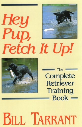 Hey pup fetch - hey, up
